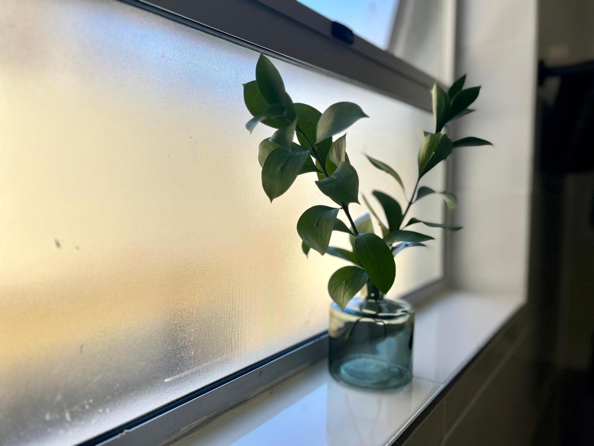 Family-sized Gem Near Apartment